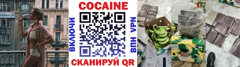COCAIN Fish Scale Кологрив