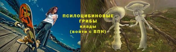 твердый Балахна