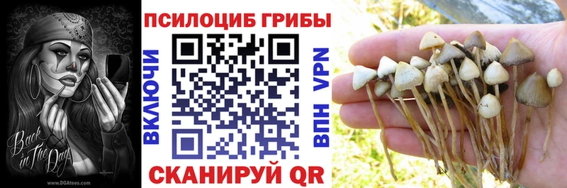 Галлюциногенные грибы прущие грибы Кологрив